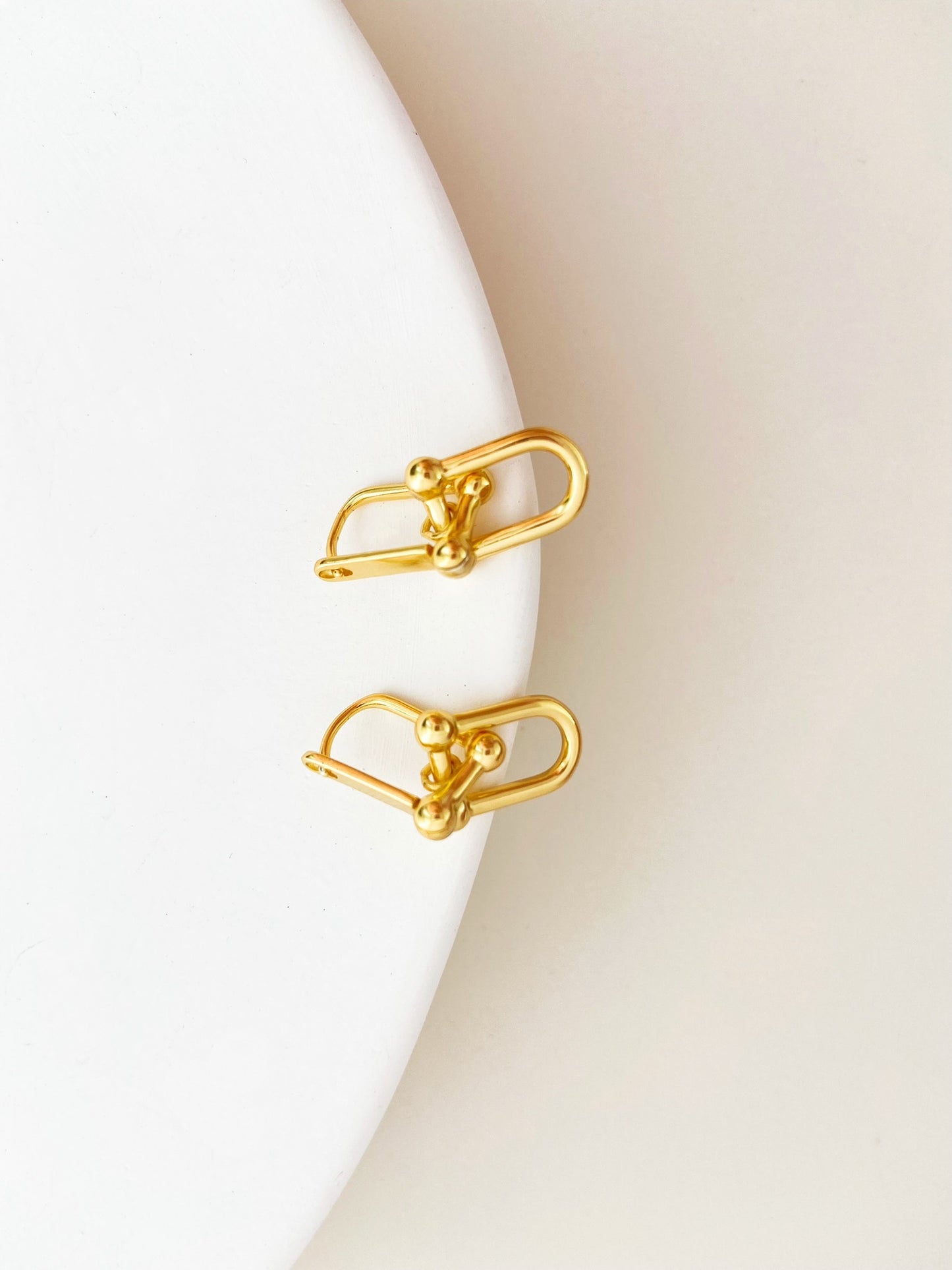 Hardwear Link Earrings