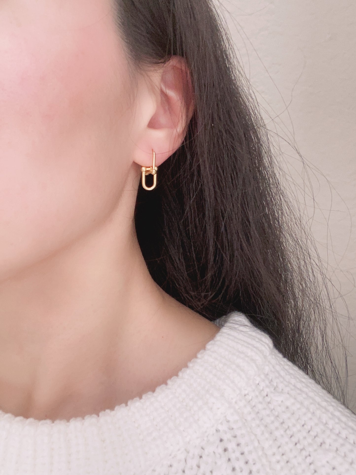 Hardwear Link Earrings