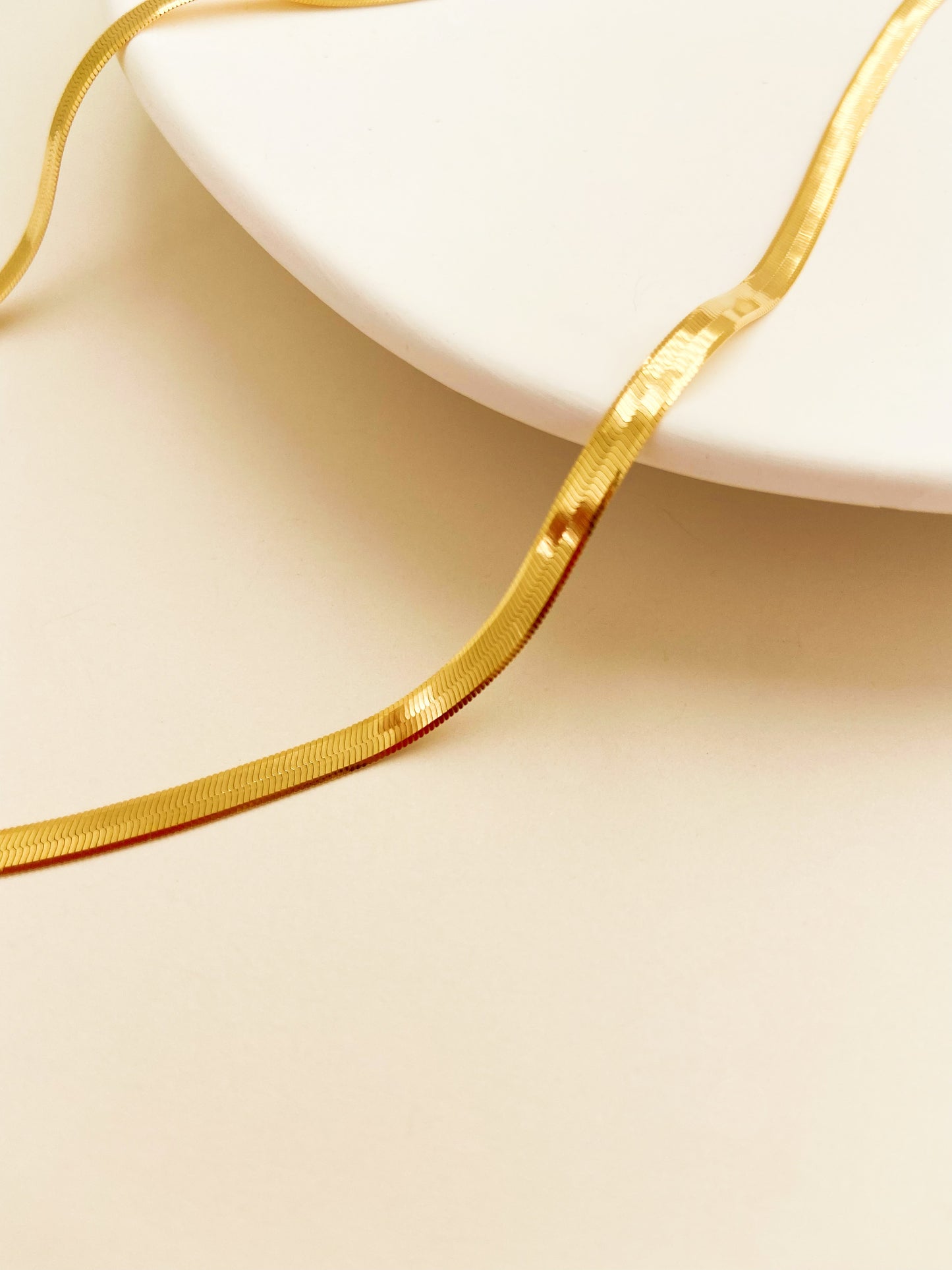 Flat Snake Chocker Necklace